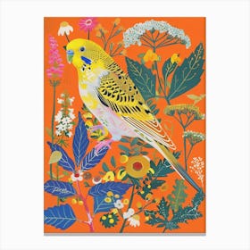 Spring Birds Budgerigar 2 Canvas Print