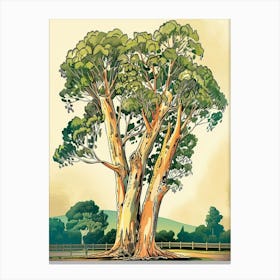 Eucalyptus Tree Storybook Illustration 3 Canvas Print