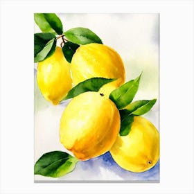 Lemon Italian Watercolour fruit Canvas Print