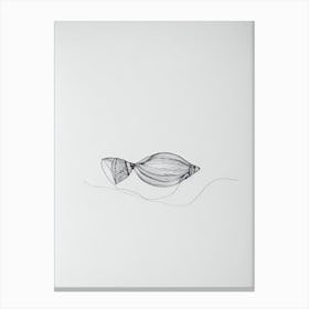 Conch Black & White Drawing Canvas Print