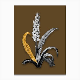 Vintage Eucomis Punctata Black and White Gold Leaf Floral Art on Coffee Brown n.0509 Canvas Print