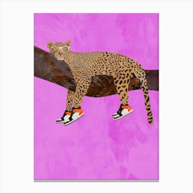 Leopard On A Branch Wearing Shoes Canvas Print