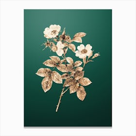 Gold Botanical Short Styled Field Rose on Dark Spring Green Canvas Print