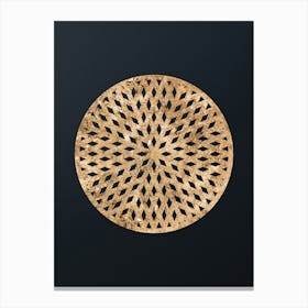 Abstract Geometric Gold Glyph on Dark Teal n.0046 Canvas Print