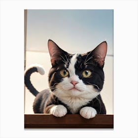 Cat On A Window Sill Canvas Print