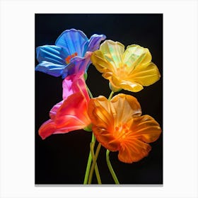 Bright Inflatable Flowers Evening Primrose 3 Canvas Print