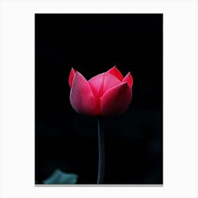 Lotus Flower 22 Canvas Print