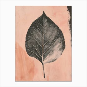 Leaf illustration 1 Canvas Print