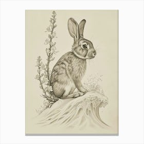 Rex Rabbit Drawing 4 Canvas Print