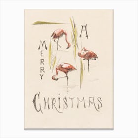 Christmas Card With Three Flamingos , Theo Van Hoytema Canvas Print