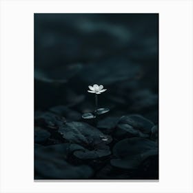 Flower In The Water 18 Canvas Print