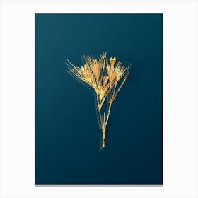 Vintage Witsenia Maura Botanical in Gold on Teal Blue n.0152 Canvas Print