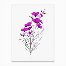 Phlox Floral Minimal Line Drawing 1 Flower Canvas Print