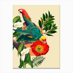 Parrots And Flowers 1 Canvas Print