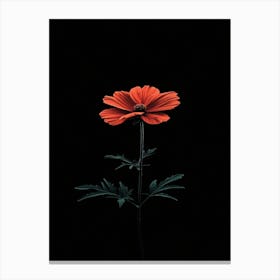 Cosmos Canvas Print