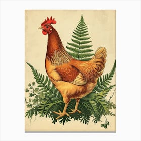 Vintage Illustration Hen And Chicken Fern 4 Canvas Print