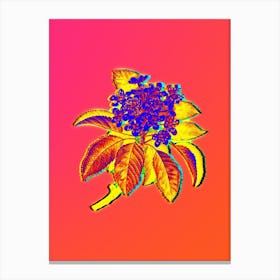 Neon Shipova Botanical in Hot Pink and Electric Blue n.0248 Canvas Print