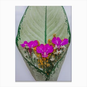 Object Green Leaf With Pink Flowers Photoline, Man made not Ai Canvas Print