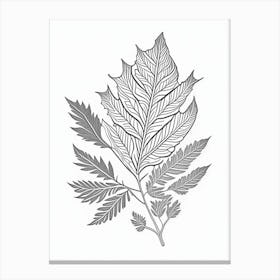 Curry Leaf Herb William Morris Inspired Line Drawing 2 Canvas Print