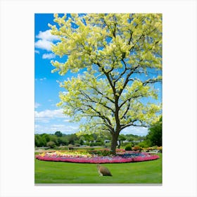 Tulip Tree Canvas Print