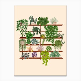Plant Goals Shelf Canvas Print