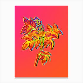 Neon European Bladdernut Botanical in Hot Pink and Electric Blue n.0164 Canvas Print