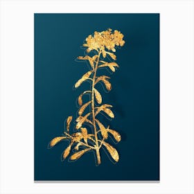 Vintage Small White Flowers Botanical in Gold on Teal Blue n.0001 Canvas Print