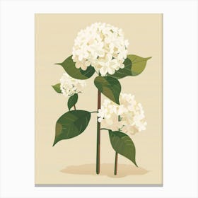 Hydrangea 7 Canvas Print