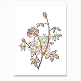 Stained Glass Moss Rose Mosaic Botanical Illustration on White n.0019 Canvas Print