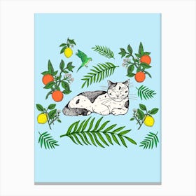 Citrus Cats Canvas Print