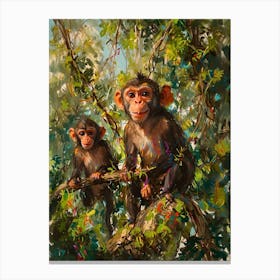 Chimpanzees 2 Canvas Print