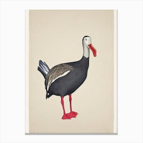 Albatross Illustration Bird Canvas Print