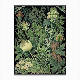Botanischer Garten München Nymphenburg 1, Germany Vintage Botanical Canvas Print