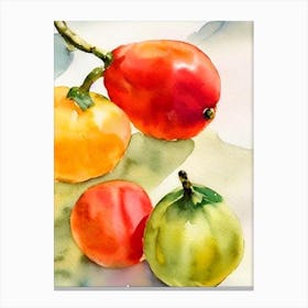 Finger Lime Italian Watercolour fruit Canvas Print