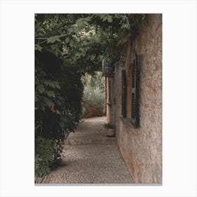 Alleyway Canvas Print