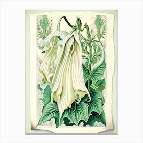 Angel'S Trumpet 2 Floral Botanical Vintage Poster Flower Canvas Print