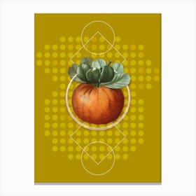 Vintage Bigarade Orange Botanical with Geometric Line Motif and Dot Pattern n.0052 Canvas Print