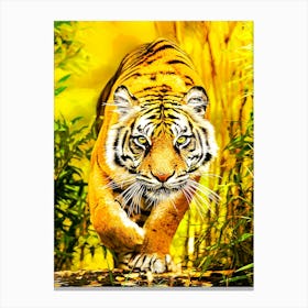 Amur Tiger Canvas Print