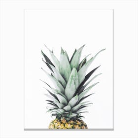 Sweet Pineapple Canvas Print