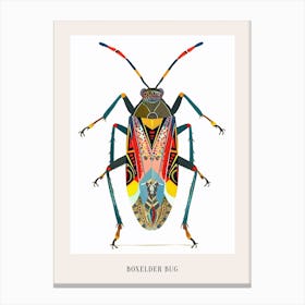 Colourful Insect Illustration Boxelder Bug 6 Poster Canvas Print
