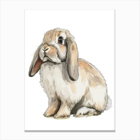 American Fuzzy Lop Rabbit Kids Illustration 3 Canvas Print