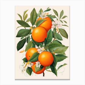 Oranges On A Branch 3 Canvas Print