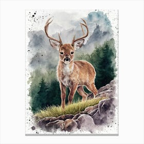 Deer Drawing Canvas Print