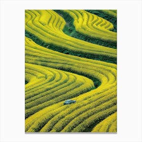 Chinese Rape Fields Canvas Print