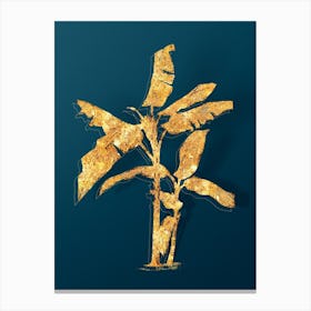 Vintage Scarlet Banana Botanical in Gold on Teal Blue Canvas Print