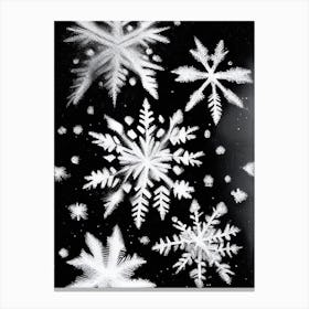 Crystal, Snowflakes, Black & White 2 Canvas Print