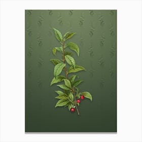 Vintage Cherry Botanical on Lunar Green Pattern n.1380 Canvas Print