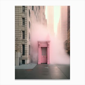 Pink Door 6 Canvas Print