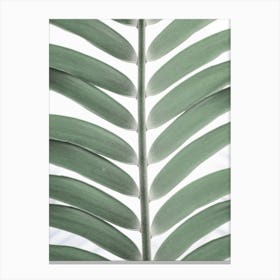 Mint Green Palm Canvas Print