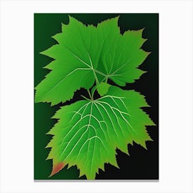 Thimbleberry Leaf Vibrant Inspired 2 Canvas Print